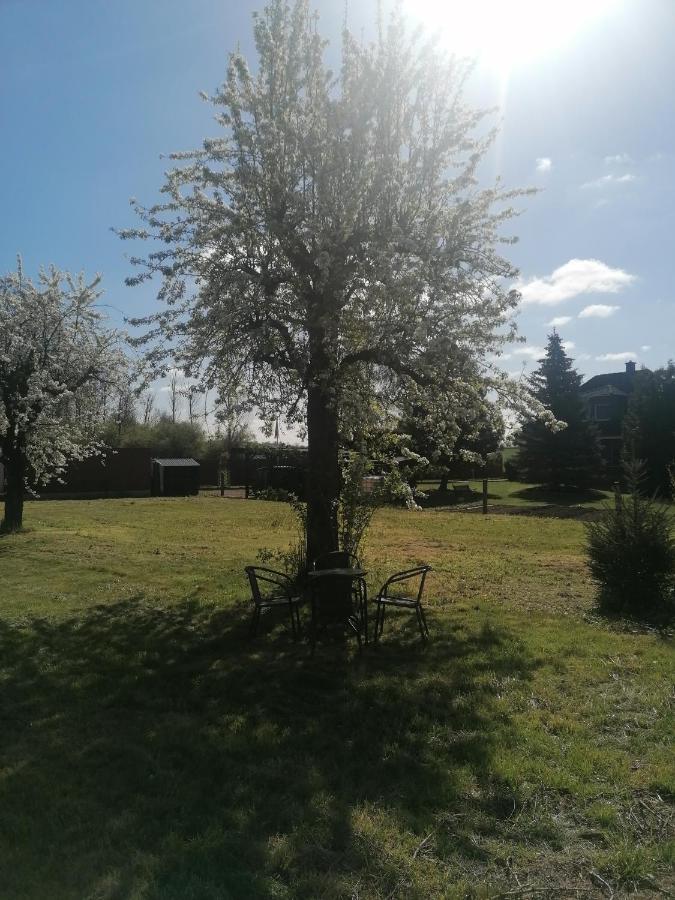 Ferienwohnung III Sarrebriese Wanzleben-Borde Buitenkant foto