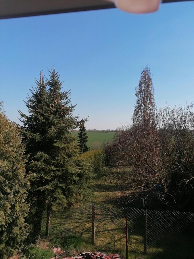 Ferienwohnung III Sarrebriese Wanzleben-Borde Buitenkant foto