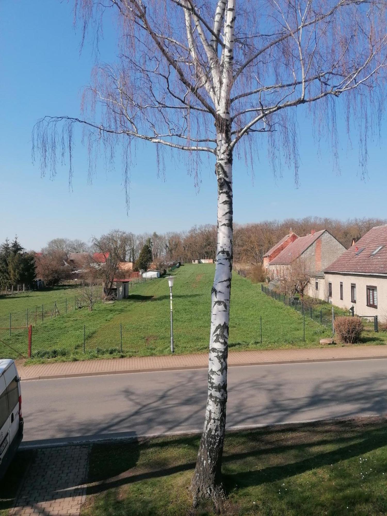 Ferienwohnung III Sarrebriese Wanzleben-Borde Buitenkant foto